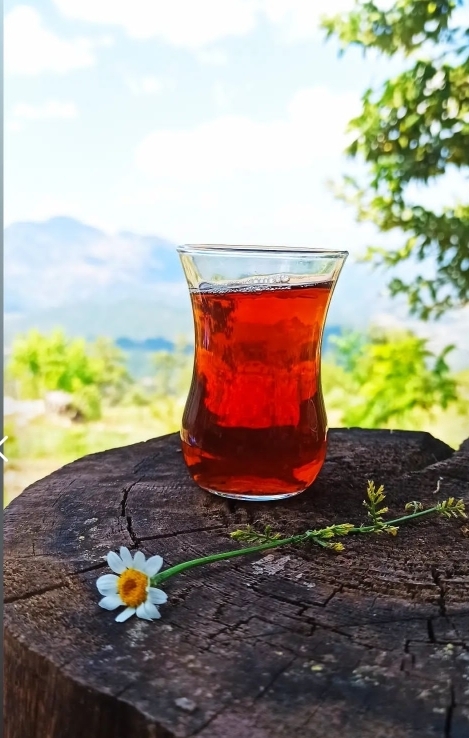 Uğur