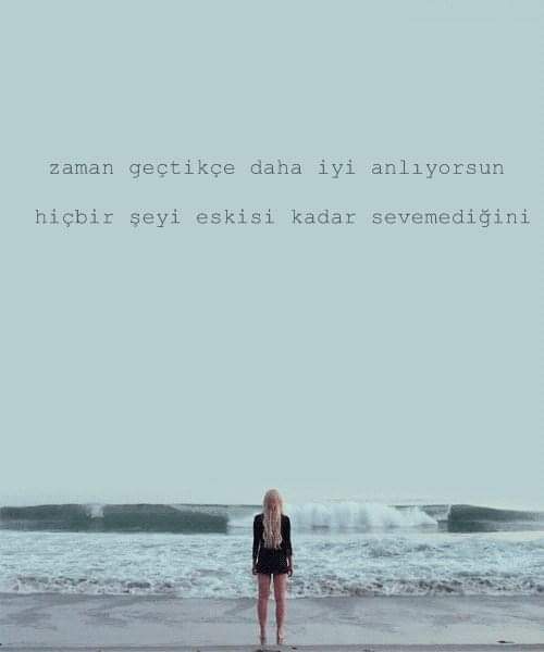 Gazel