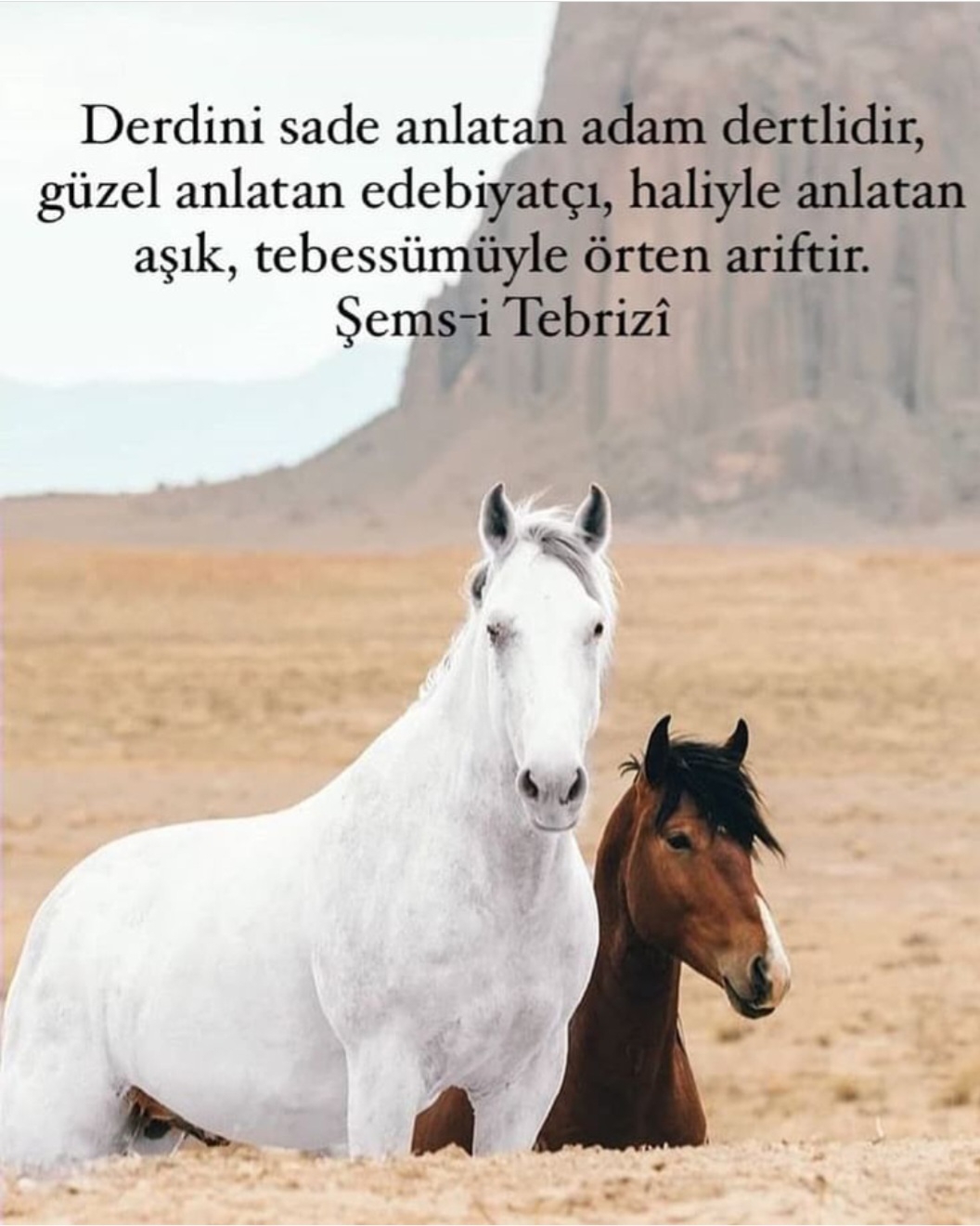 T C Yıldız