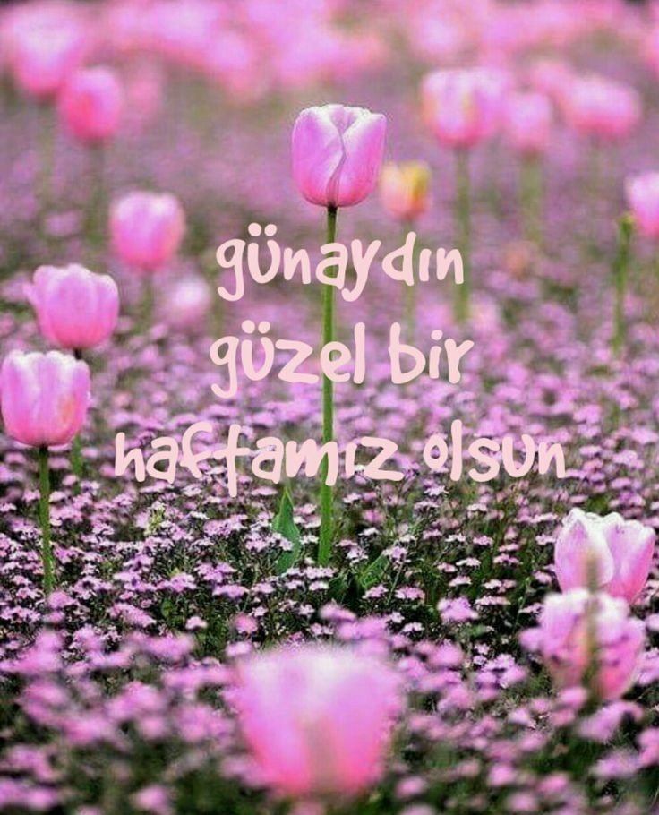 Gülhan