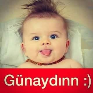 Serdar
