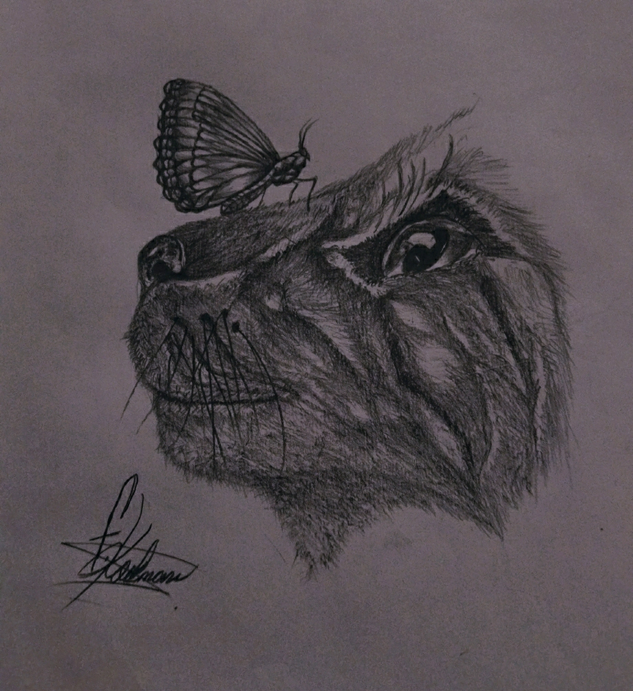 Furkan