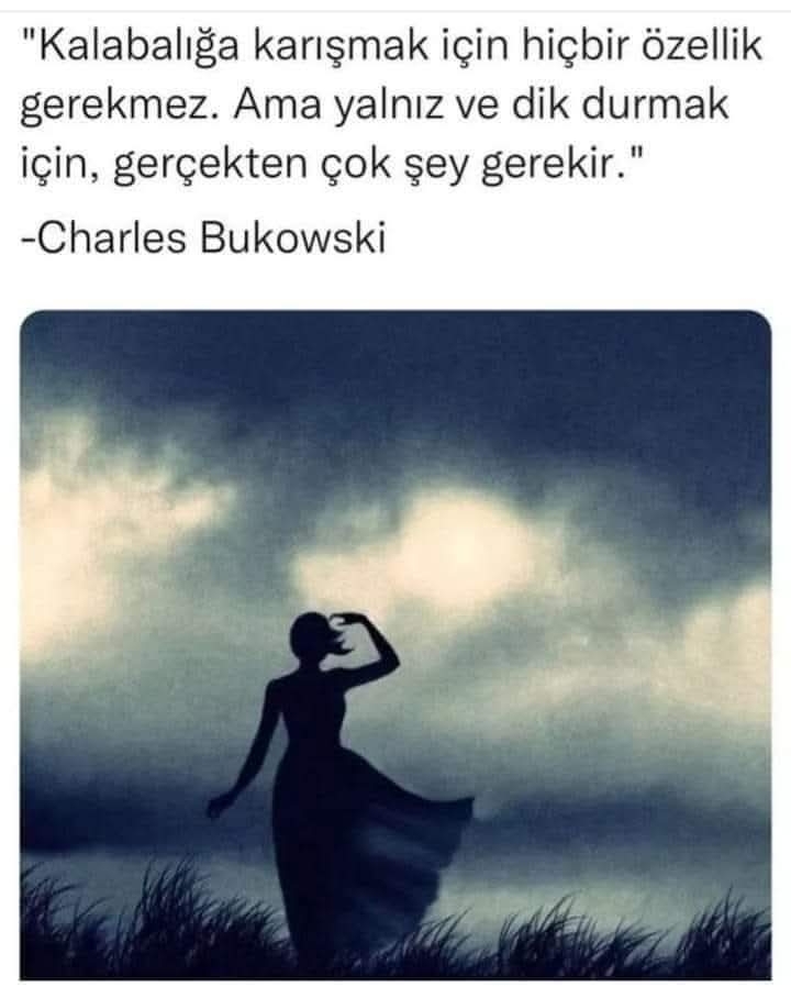 Sevil