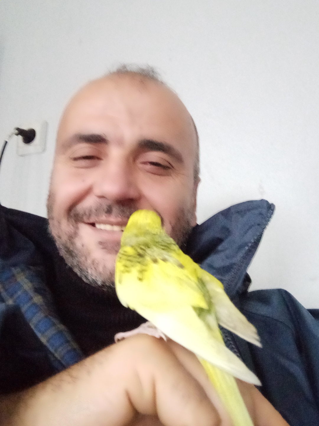 Mahmut