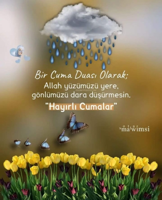 Nur