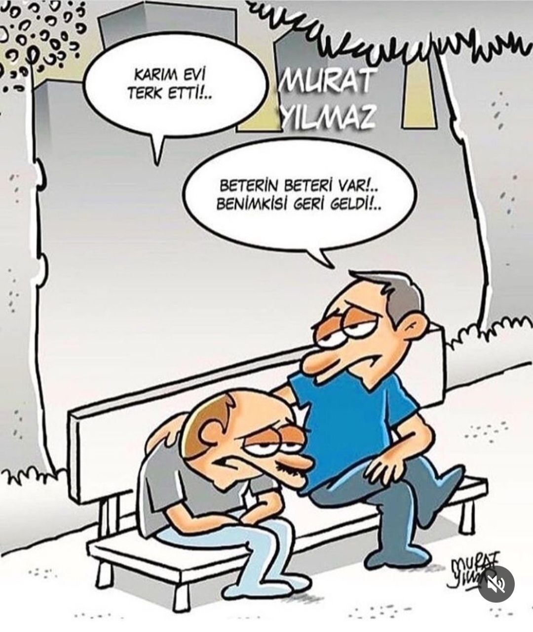 T C Yıldız