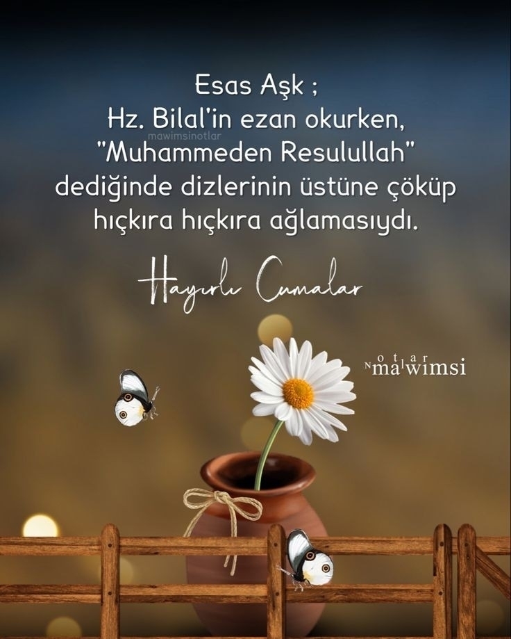 Derya
