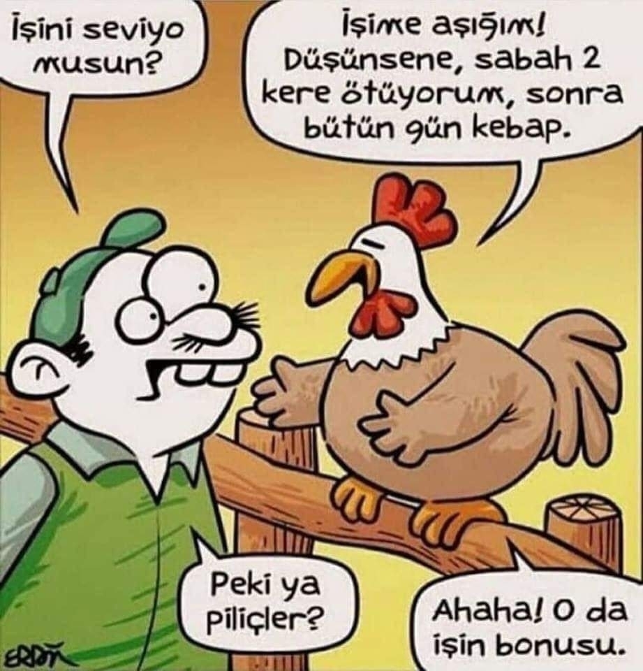 Fatih