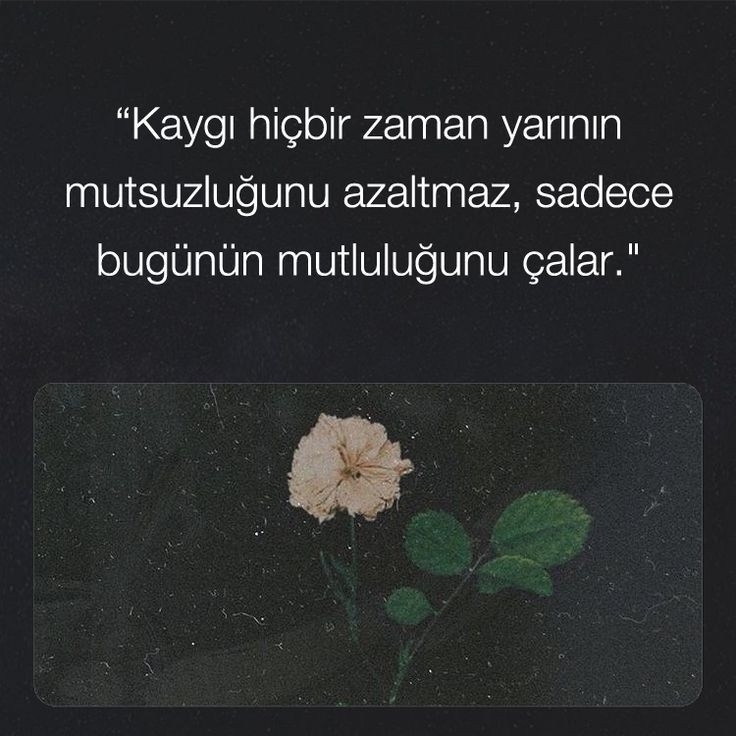 Buket