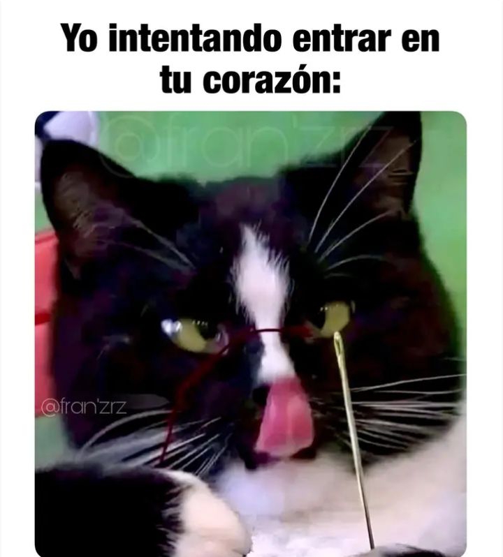 Ana
