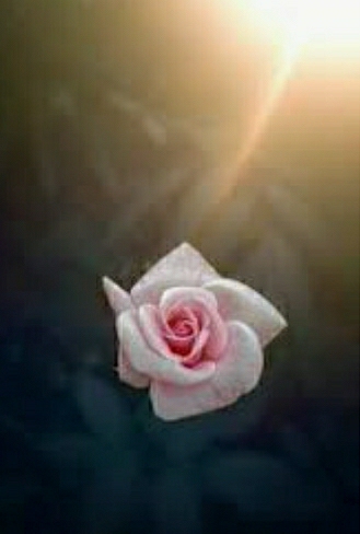 Ruhnaz