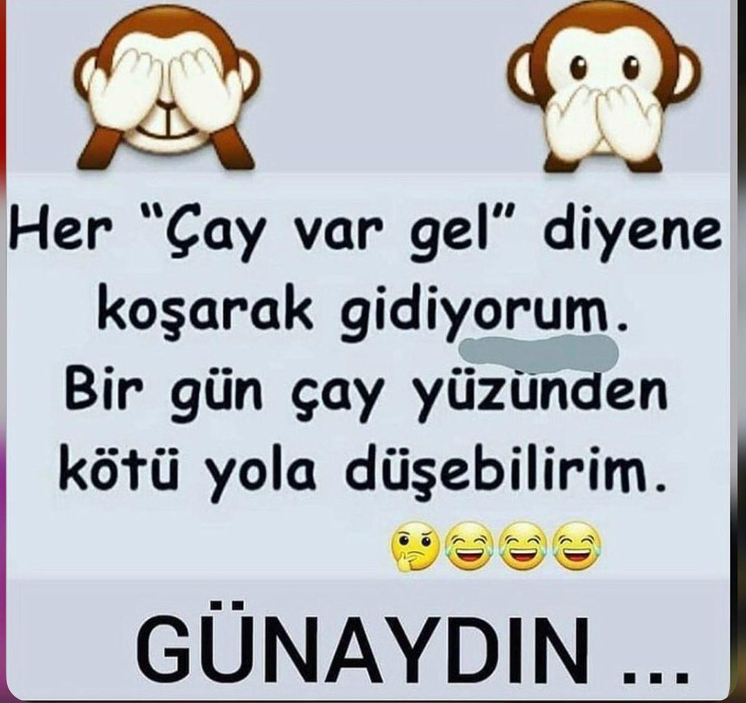 Serdar