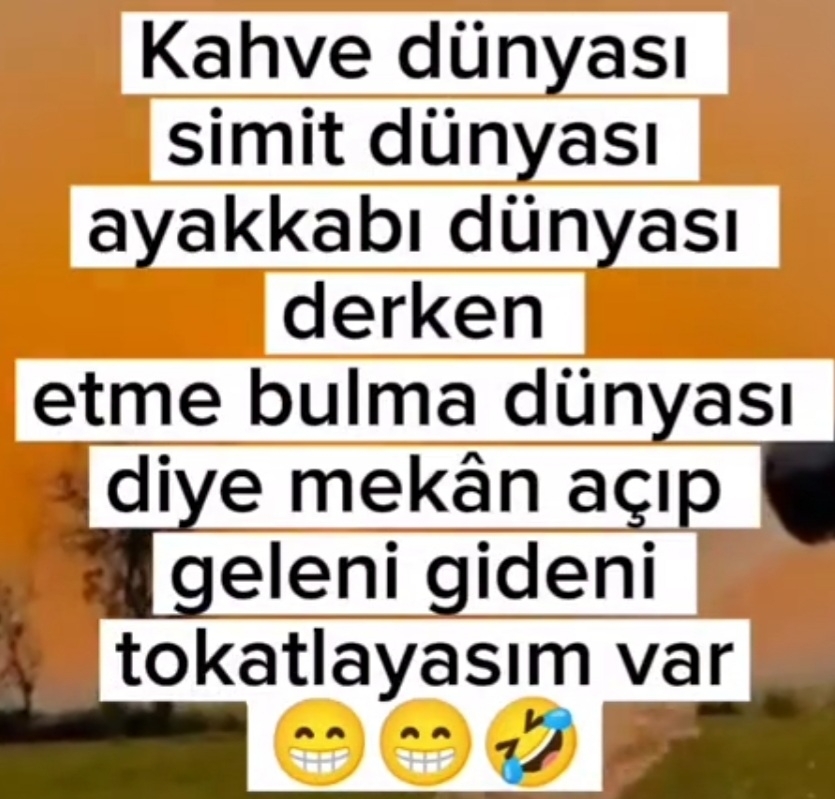 Aynur