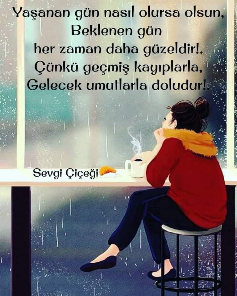 Gazel