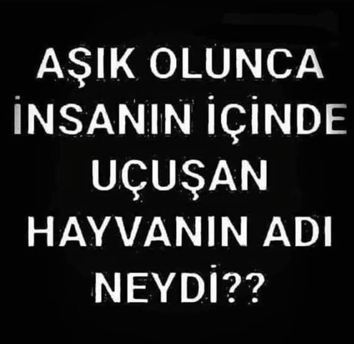 Serdar