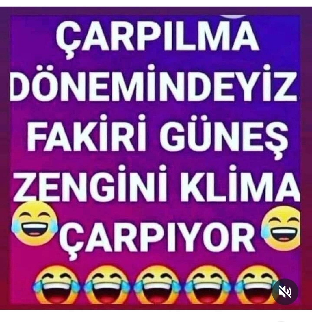 Aynur