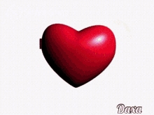 Vijay