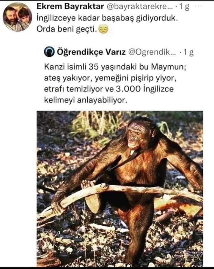 Deniz