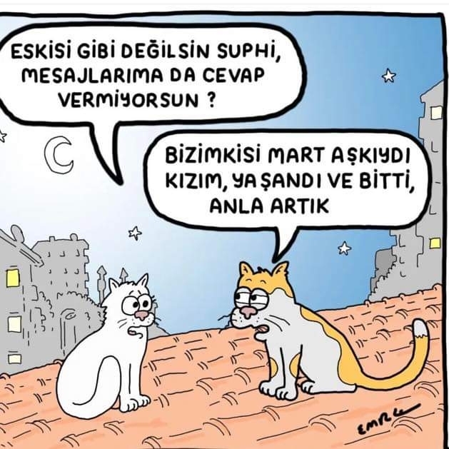 Beyhan