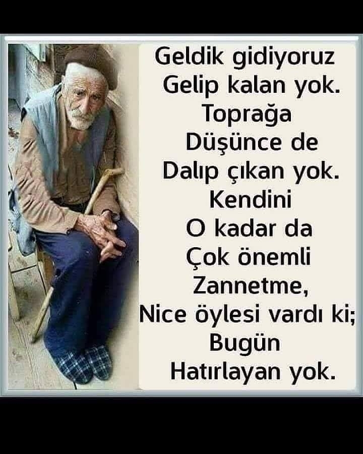 Doğan