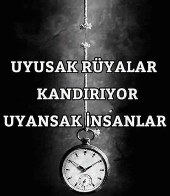 Doğan