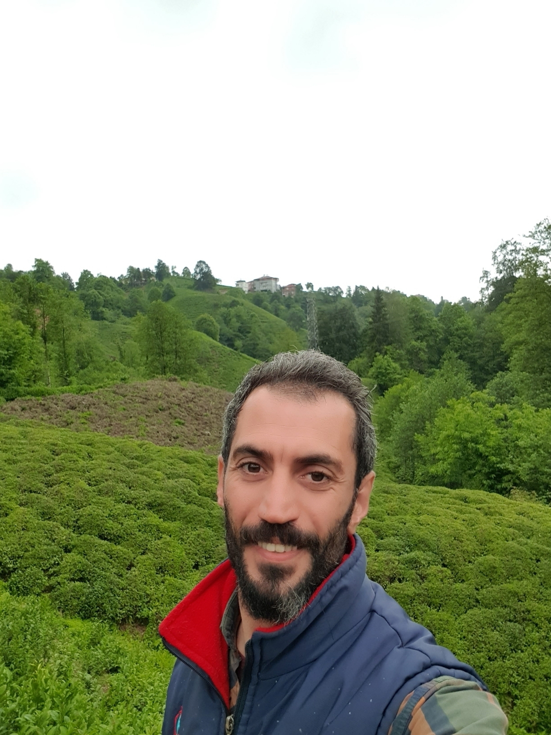 Serdar