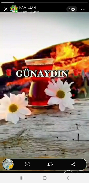 Melek