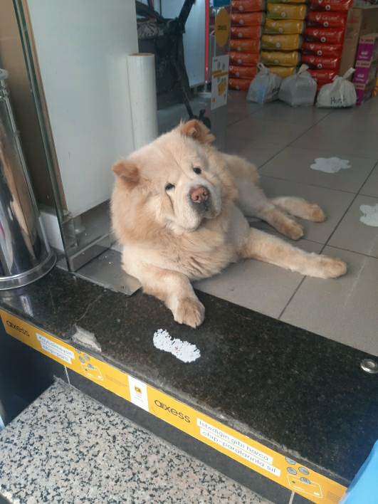 Cüneyt