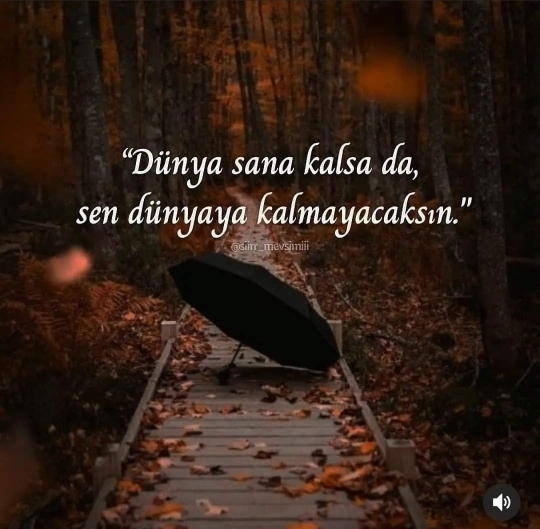 Deniz