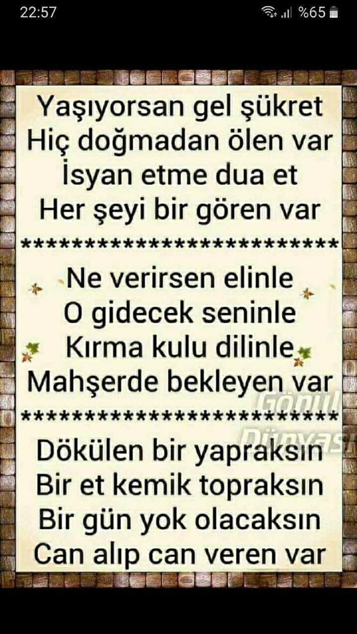 Gül