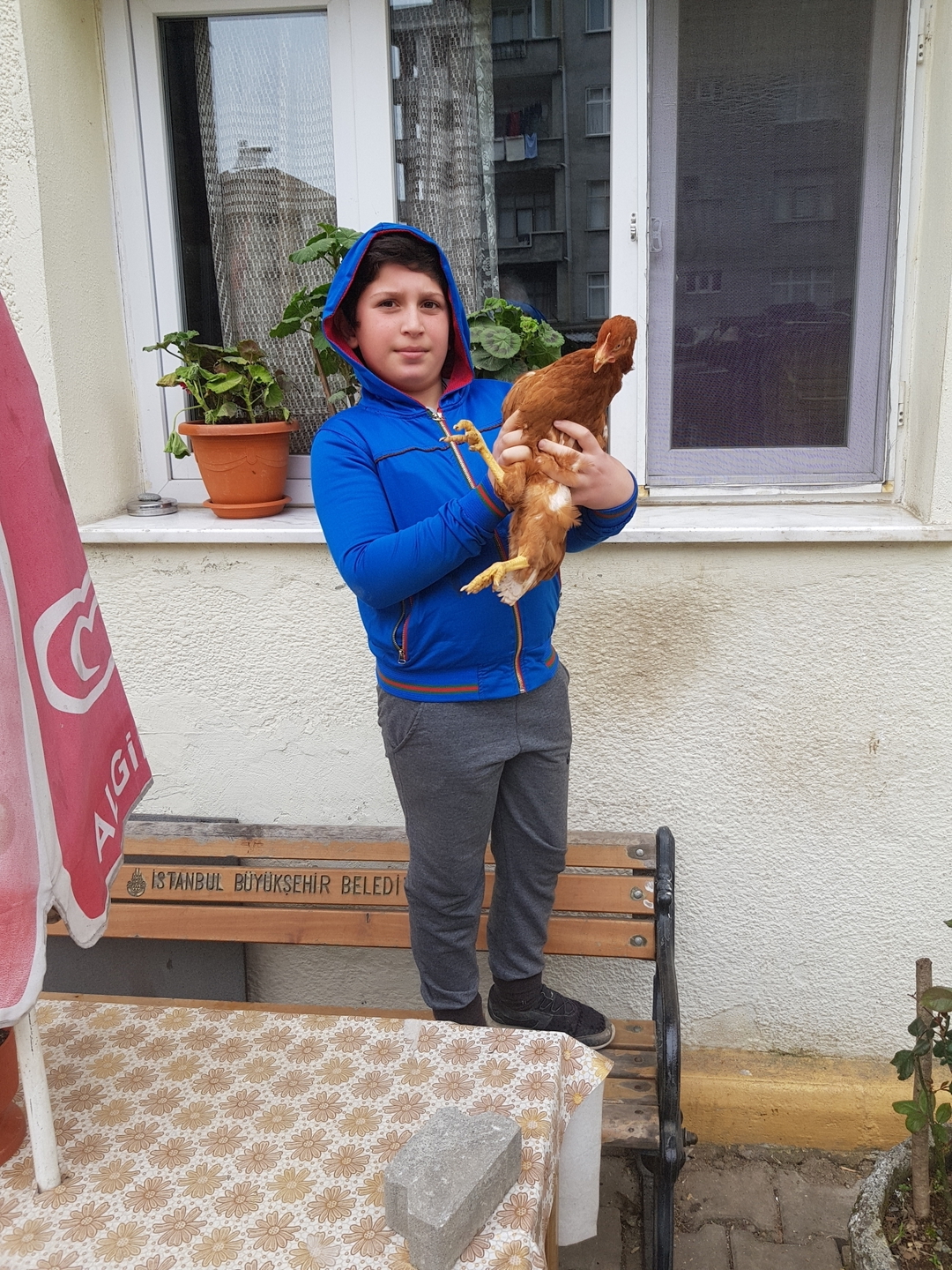 Serdar