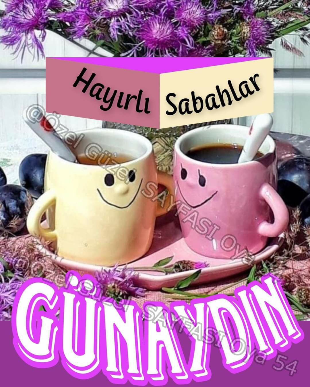 Melek