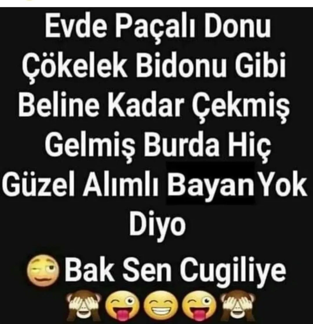 Aynur