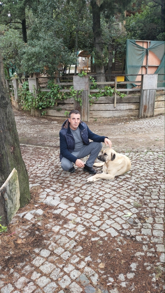Bayram