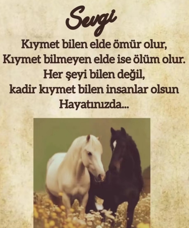FİLİZ