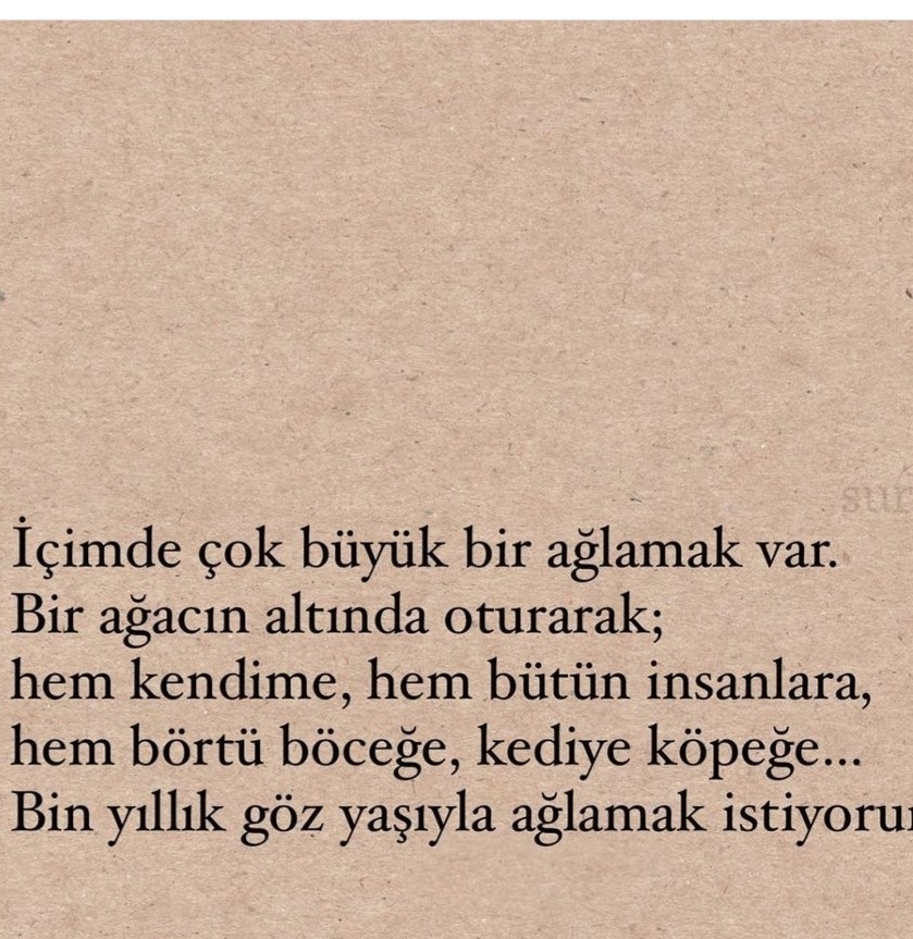 T C Yıldız