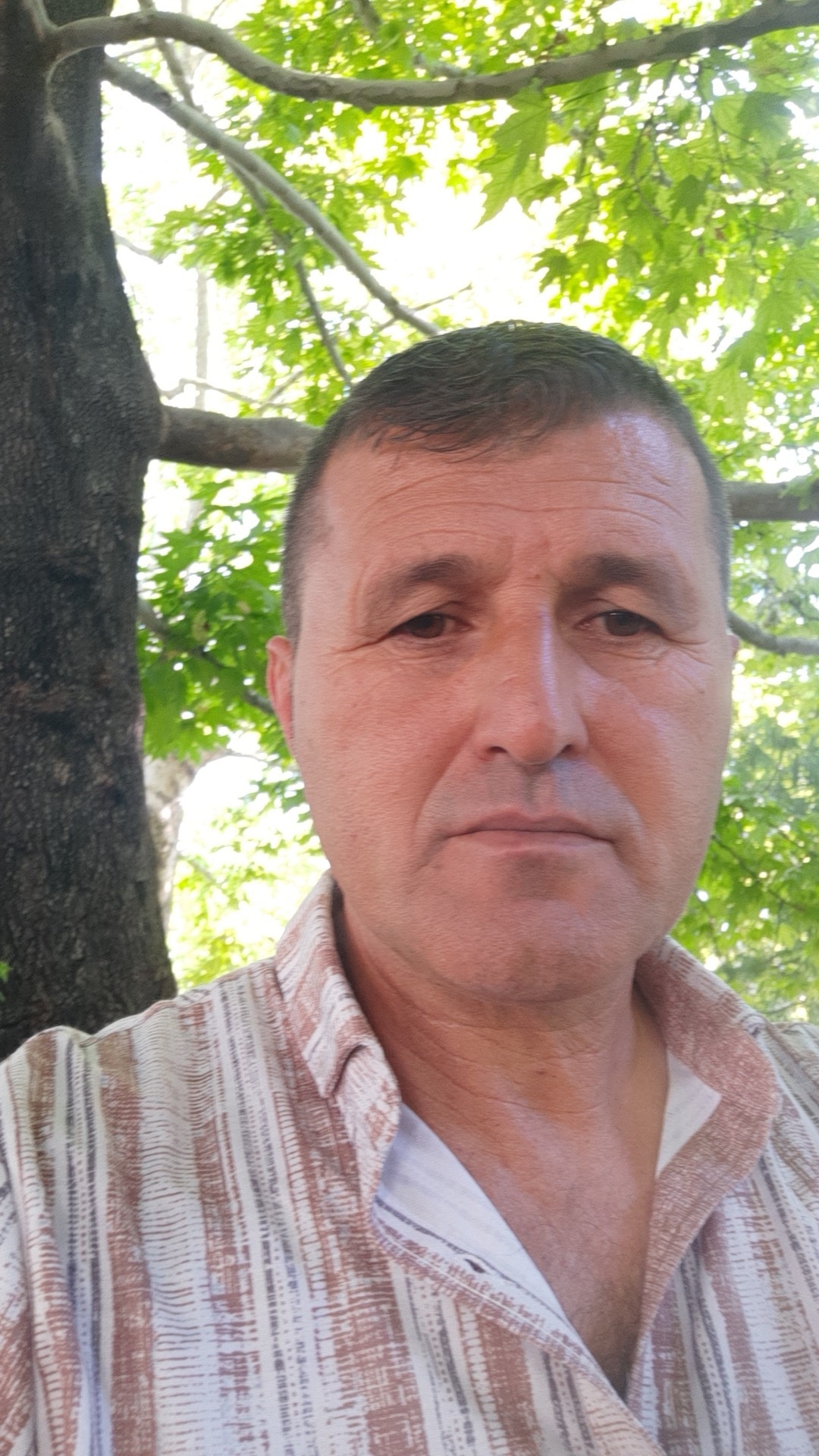 Süleyman