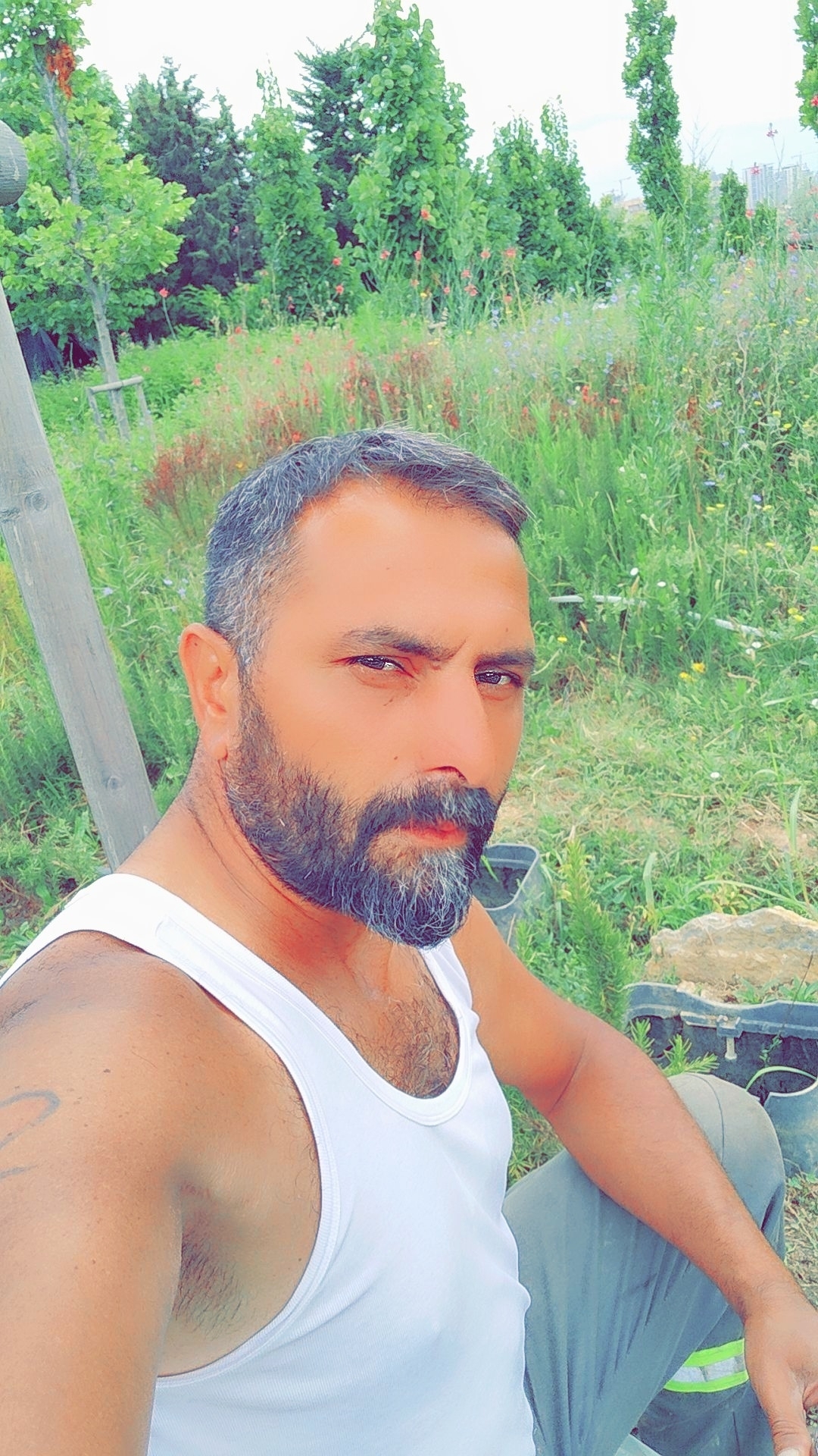 Uras