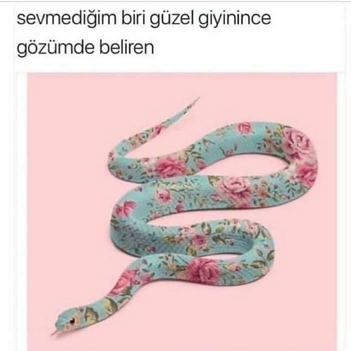 Deniz