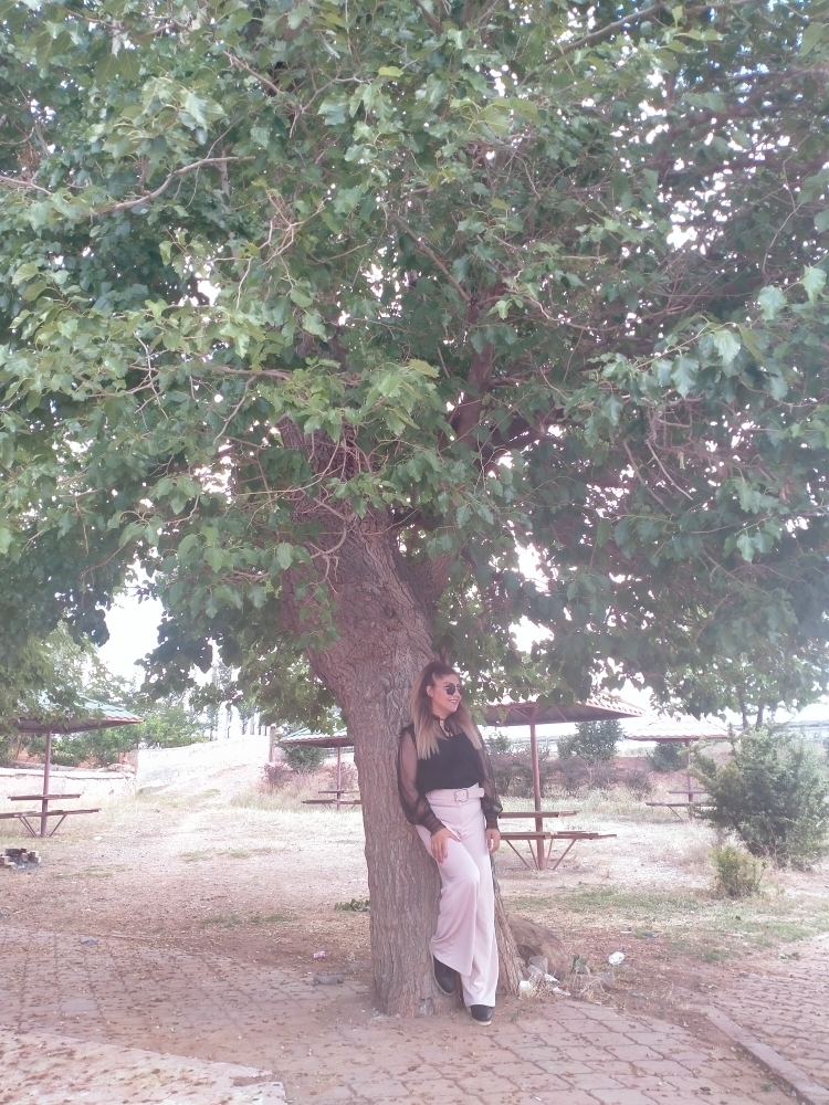 Papatya