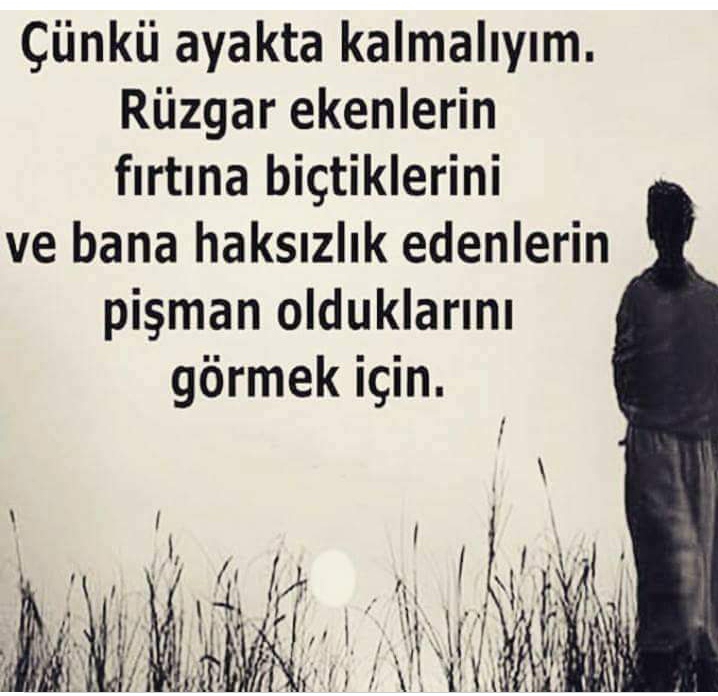 Hayal
