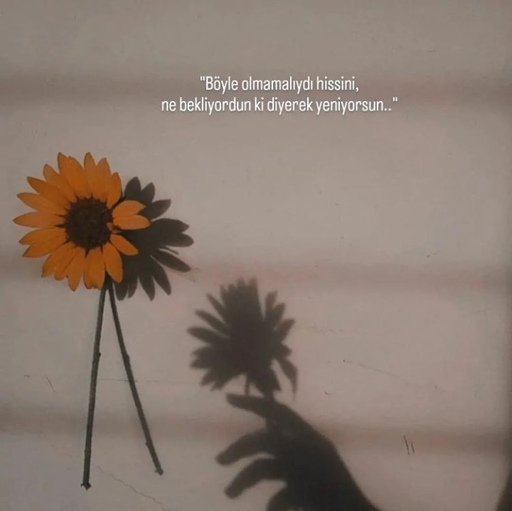Serkan