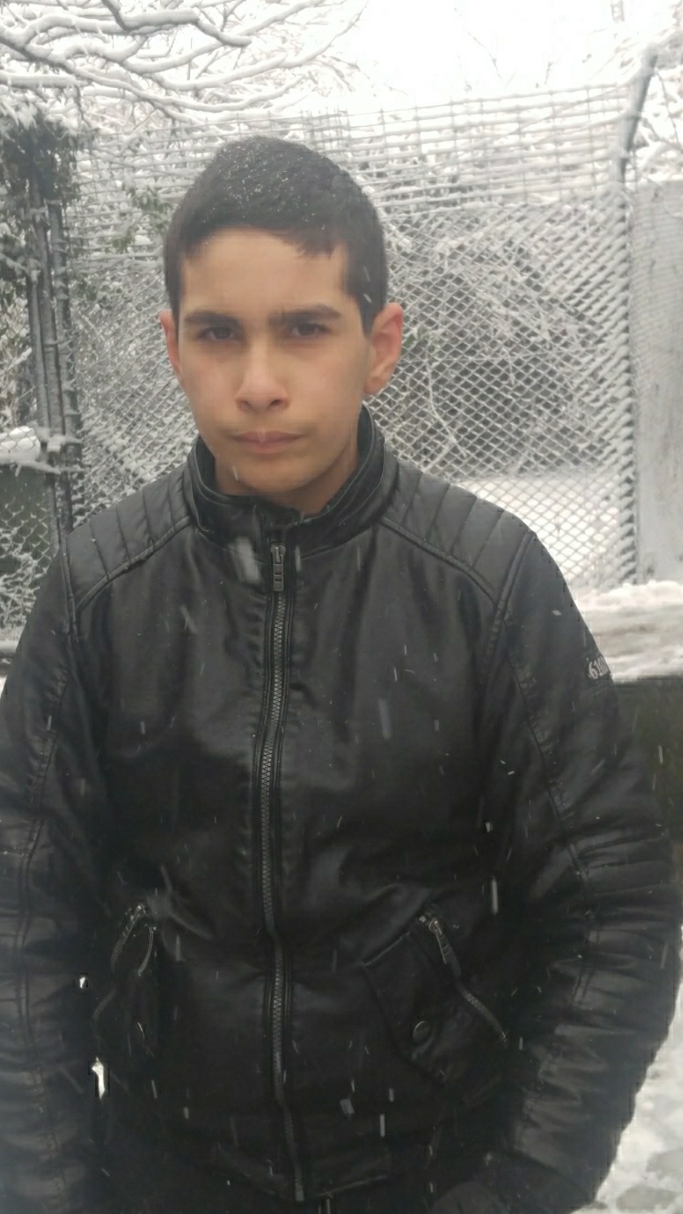 Alp