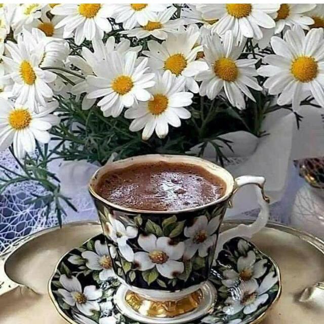 Sibel