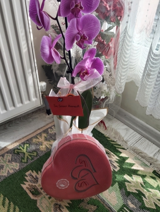 Serap