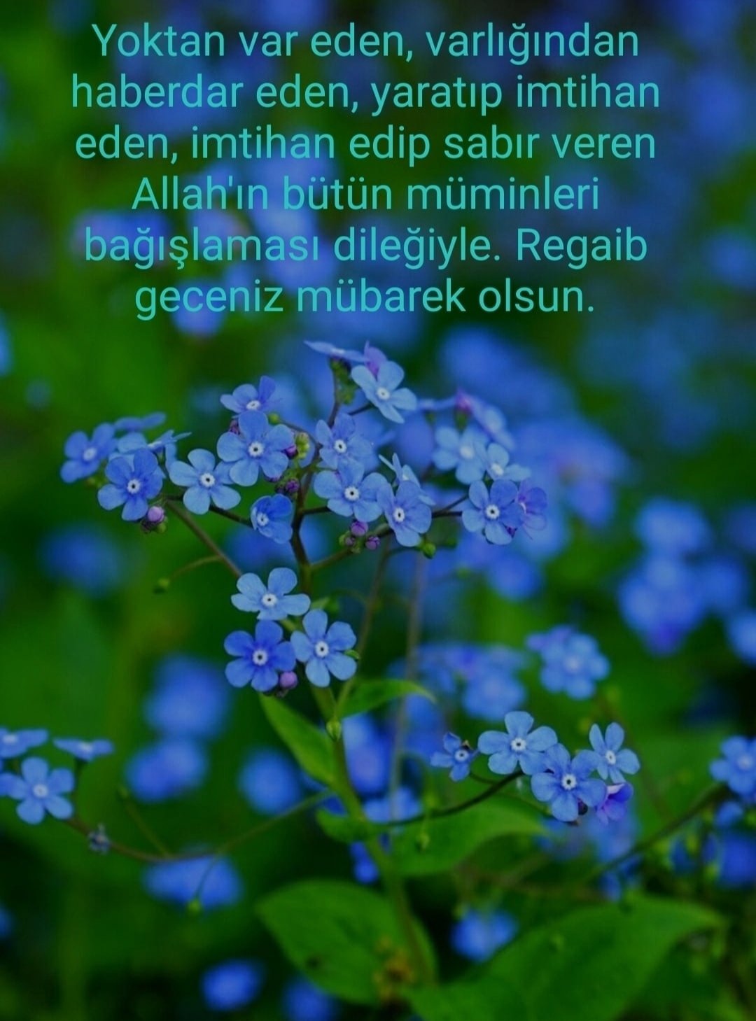 Ali
