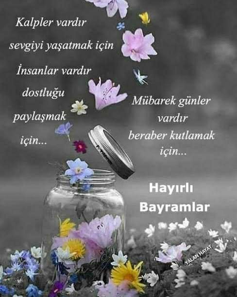 Damla