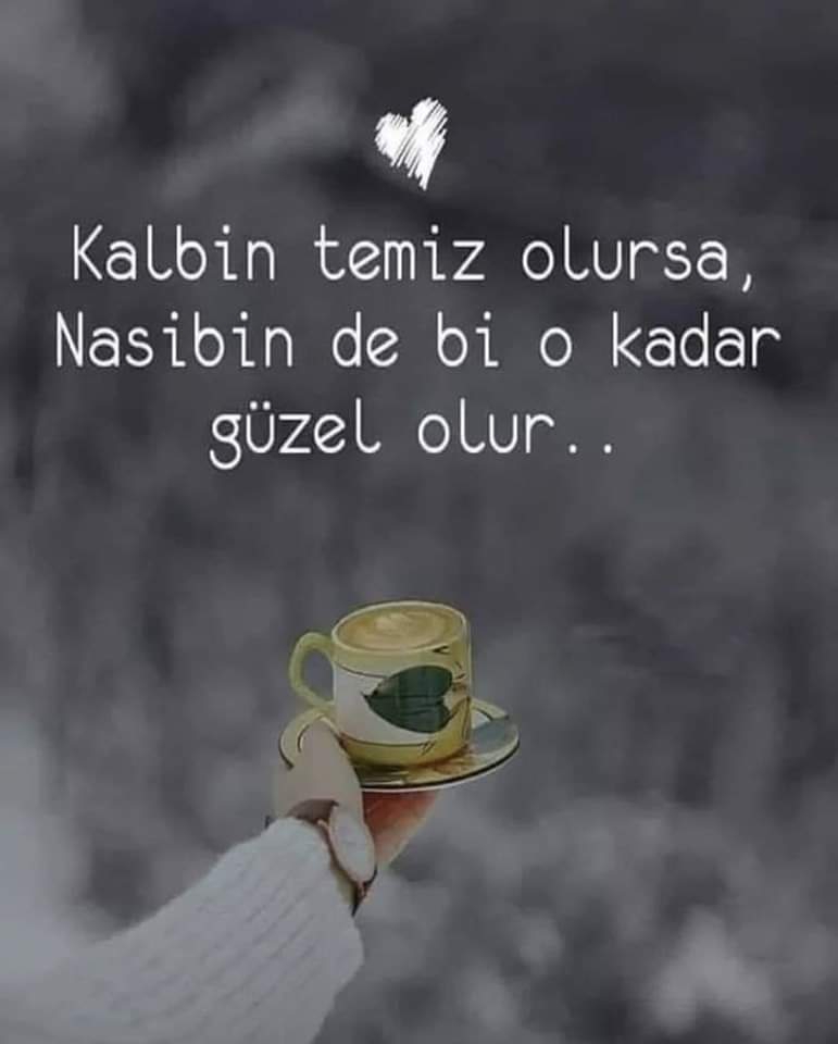 Gazel