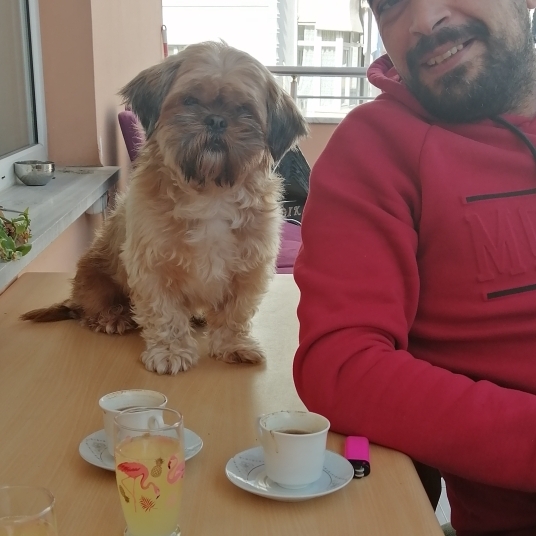 Bülent