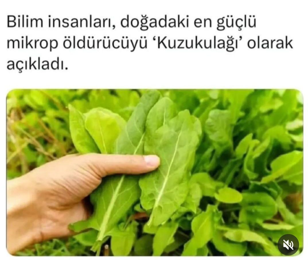 T C Yıldız